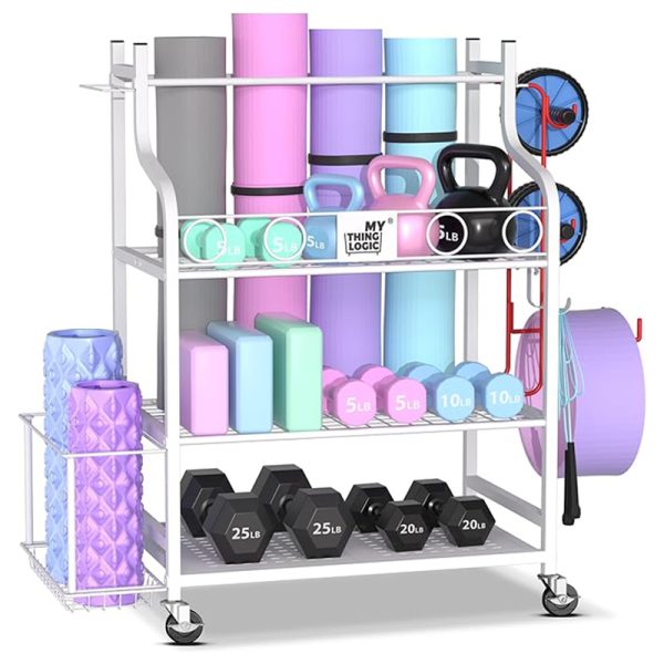 Tray for moving sports equipment such as yoga mats, basketballs, dumbbells