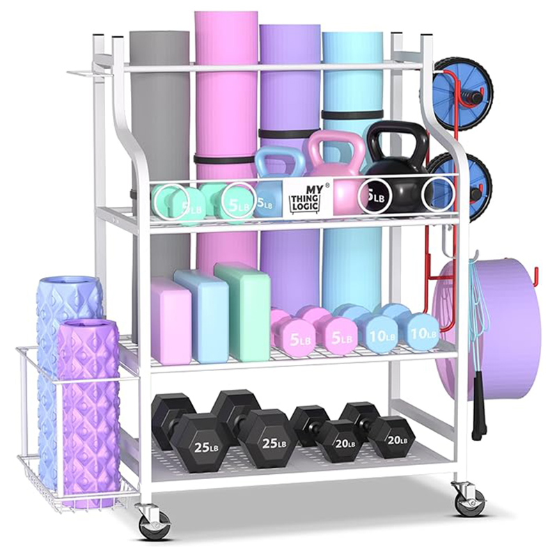 Tray for moving sports equipment such as yoga mats, basketballs, dumbbells